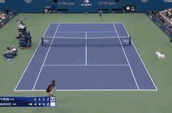 开云APP-关于美国网球队轻取世界网球队，德约科维奇统治全场的信息