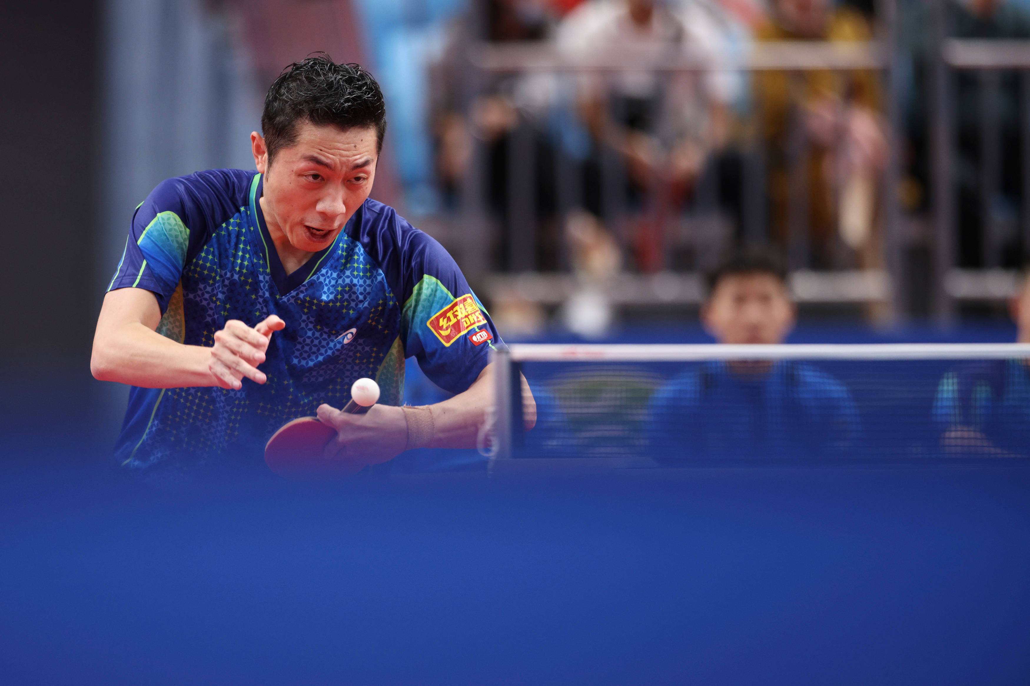 瑞典乒乓球队鏖战波兰乒乓球队,许昕关键制胜的简单介绍 瑞典乒乓球队鏖战波兰乒乓球队,许昕关键制胜的简单介绍