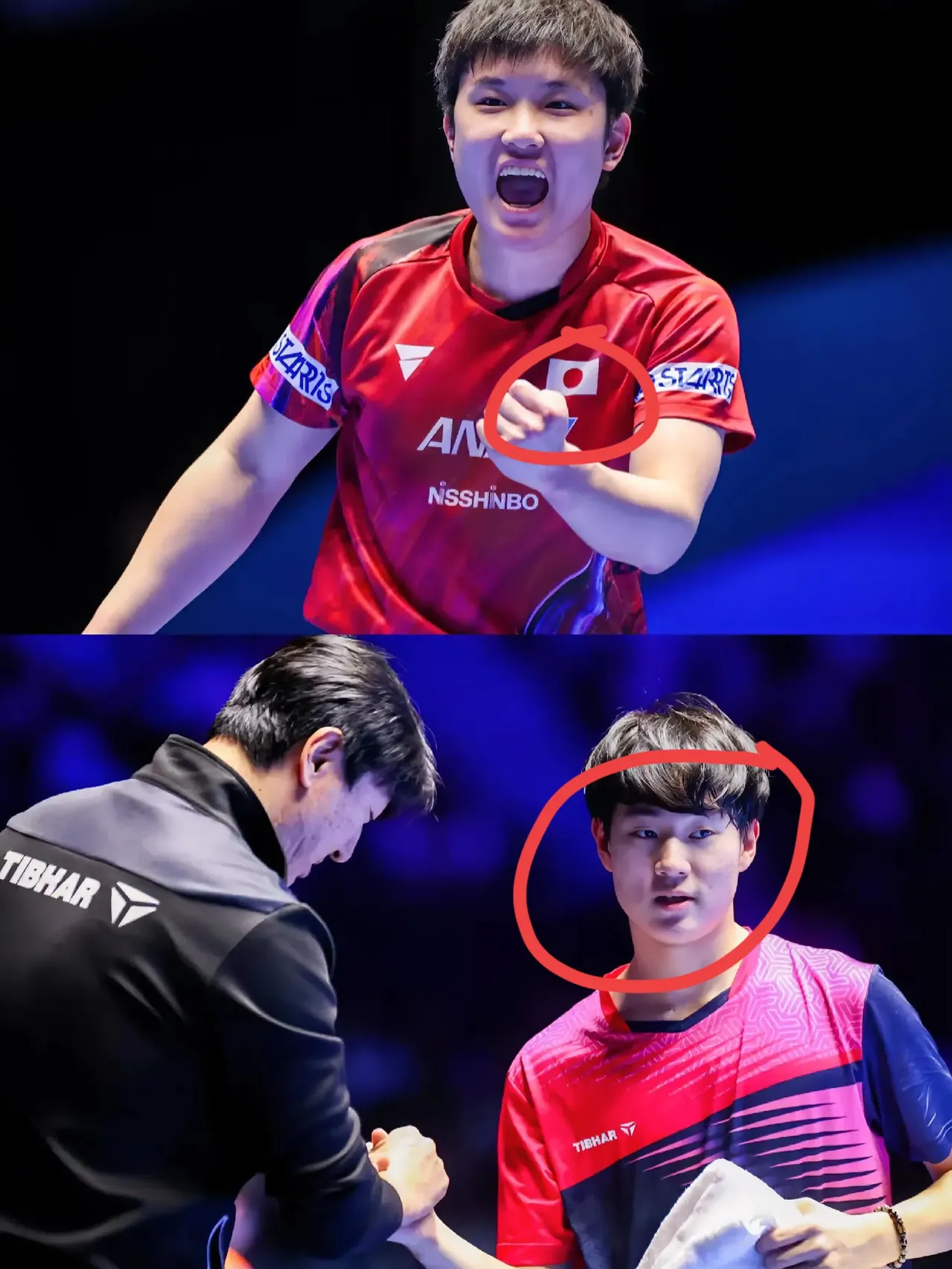 关于韩国乒乓球队翻盘英国乒乓球队，张本智和关键制胜的信息