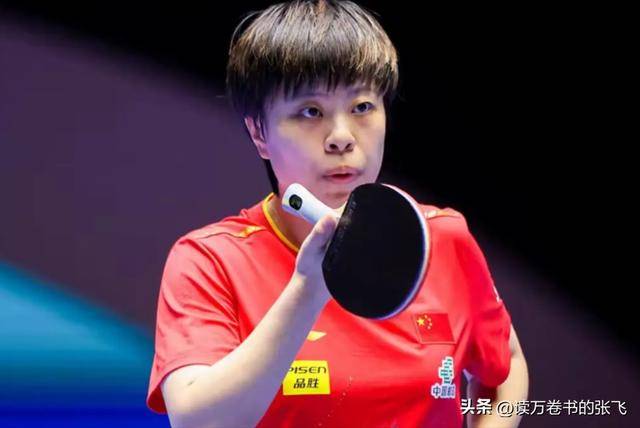 法国羽毛球队鏖战印尼羽毛球队，马琳制霸全场的简单介绍