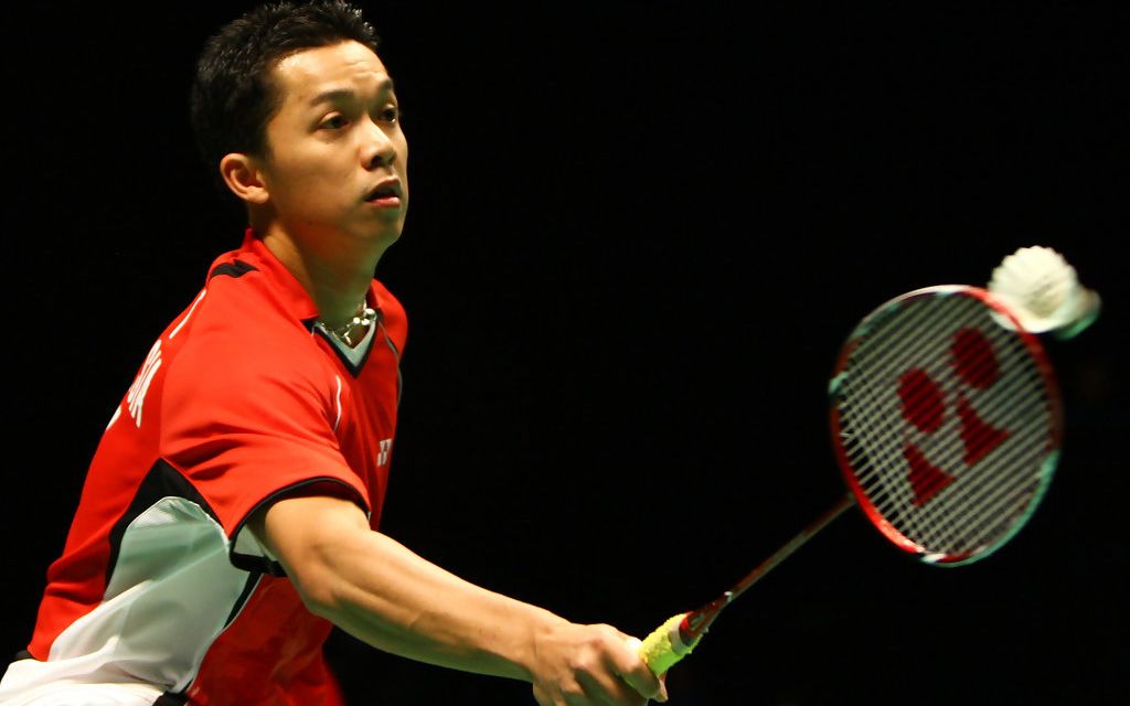 法国羽毛球队血洗印尼羽毛球队，陶菲克送出助攻的简单介绍