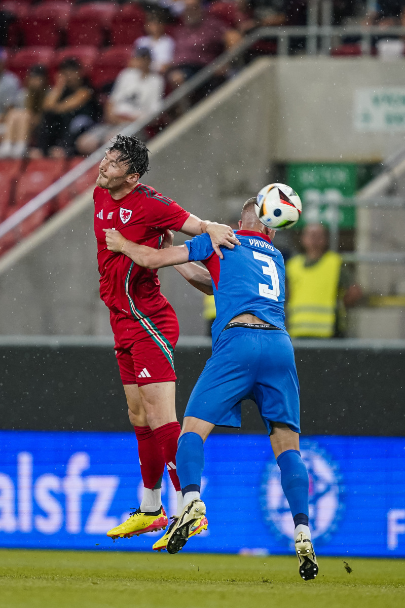 斯洛伐克与爱尔兰队争夺胜利