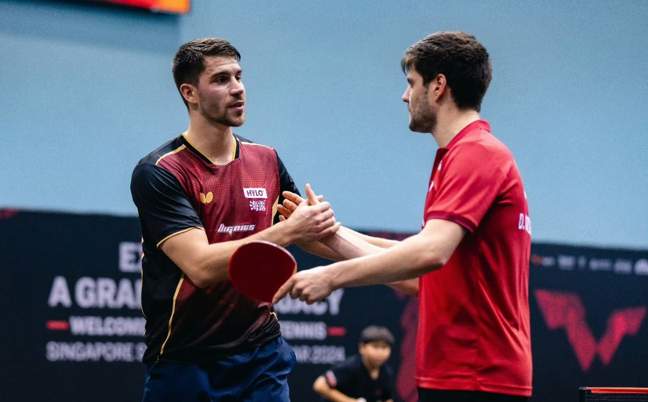 包含法国乒乓球队力克比利时乒乓球队，奥恰洛夫统治全场的词条