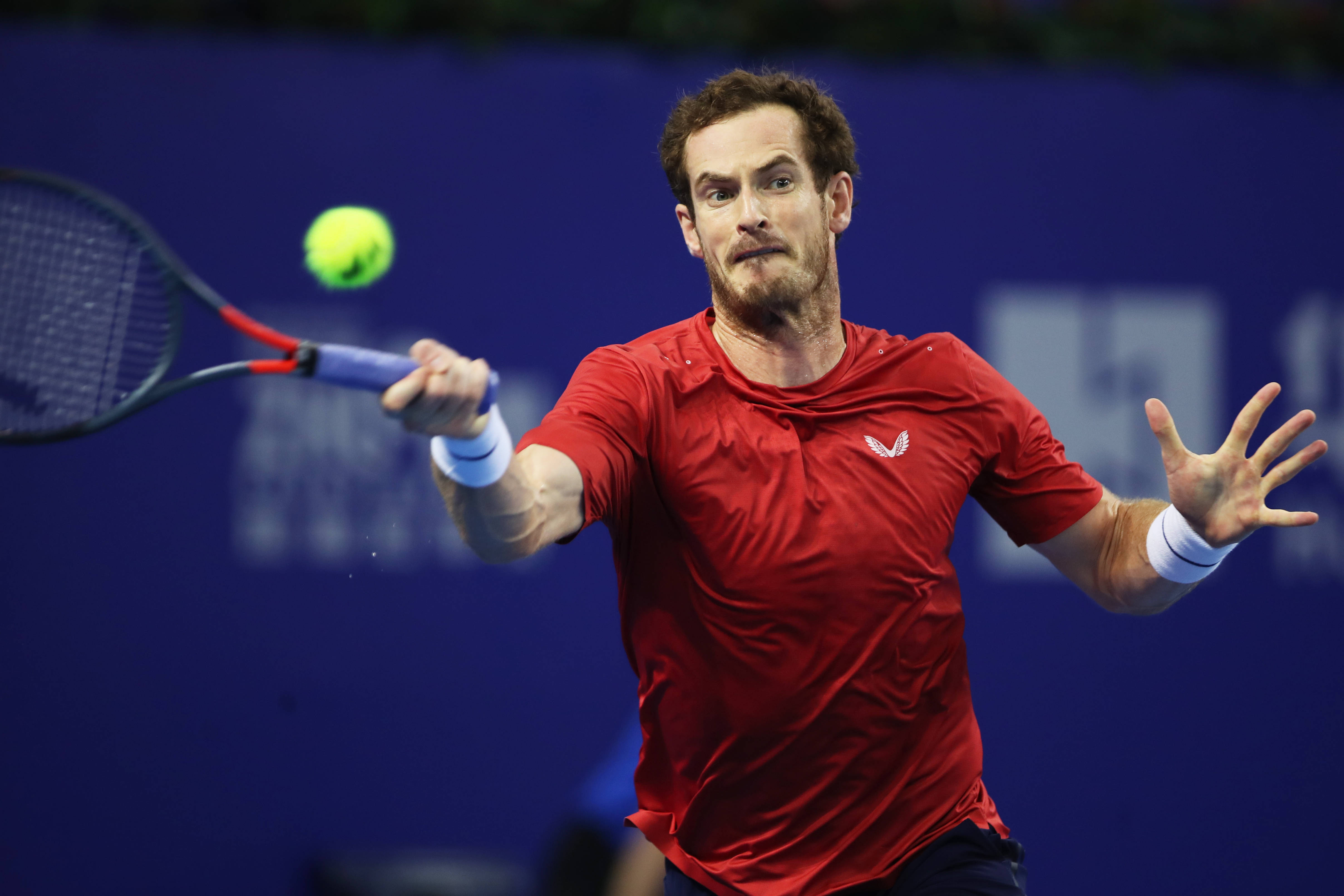 包含美网轻取年终总决赛，穆雷高光表现的词条