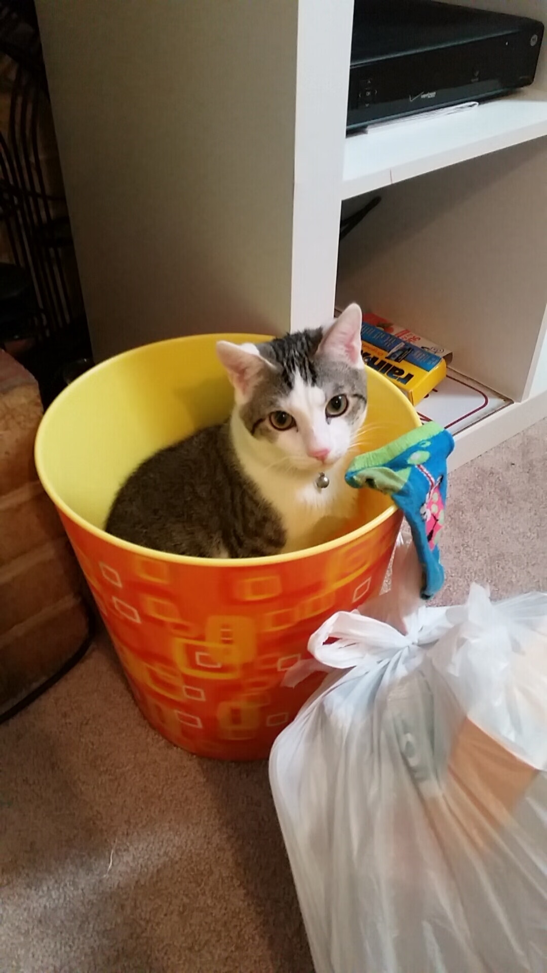 凯恩制胜一击改写北欧宿命，瑞典淘汰马赛背后的战术革命