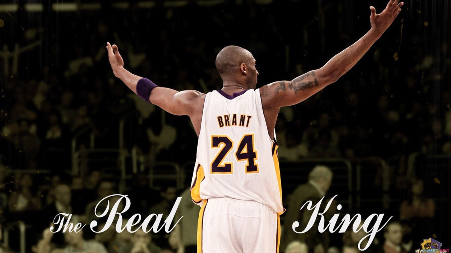 恩佐·费尔南德斯,当葡萄牙的星光黯淡时,他扛起了整个尼日利亚